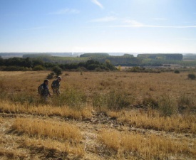 Edge of meseta